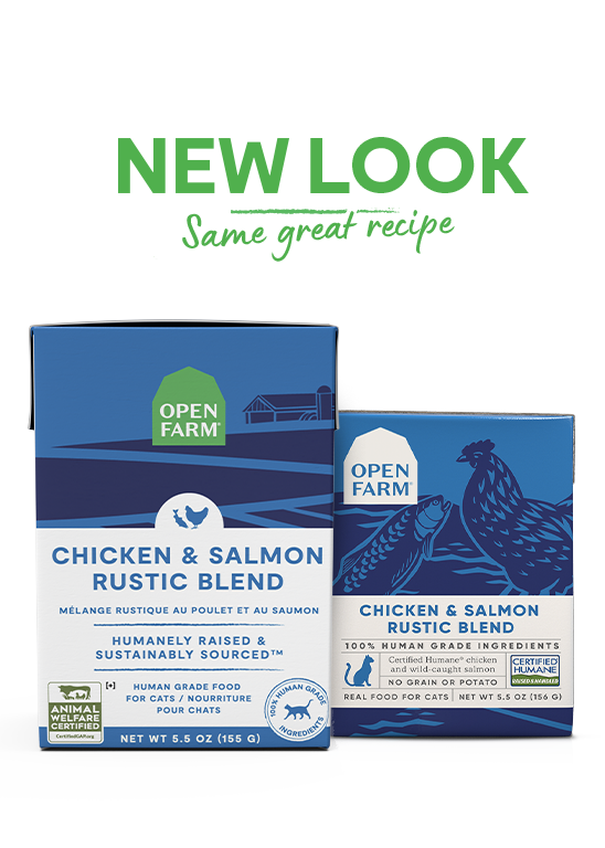 Open Farm Chicken & Salmon Rustic Blend Wet Cat Food Waxahachie, TX