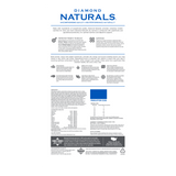 Diamond Naturals Beef Meal & Rice Formula Adult Dry Dog Food