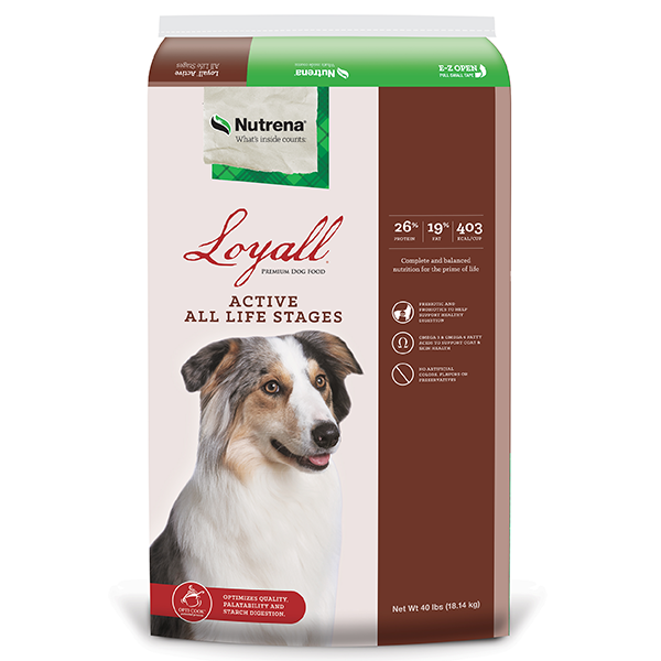 Loyall large breed puppy fashion food