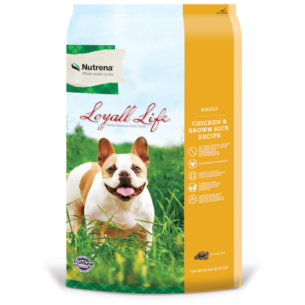 Nutrena lamb and shop rice dog food